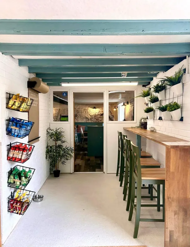 Sunny interior view looking past the wooden breakfast bar, green stools, potted wall plants and teal painted beams into the back dining room